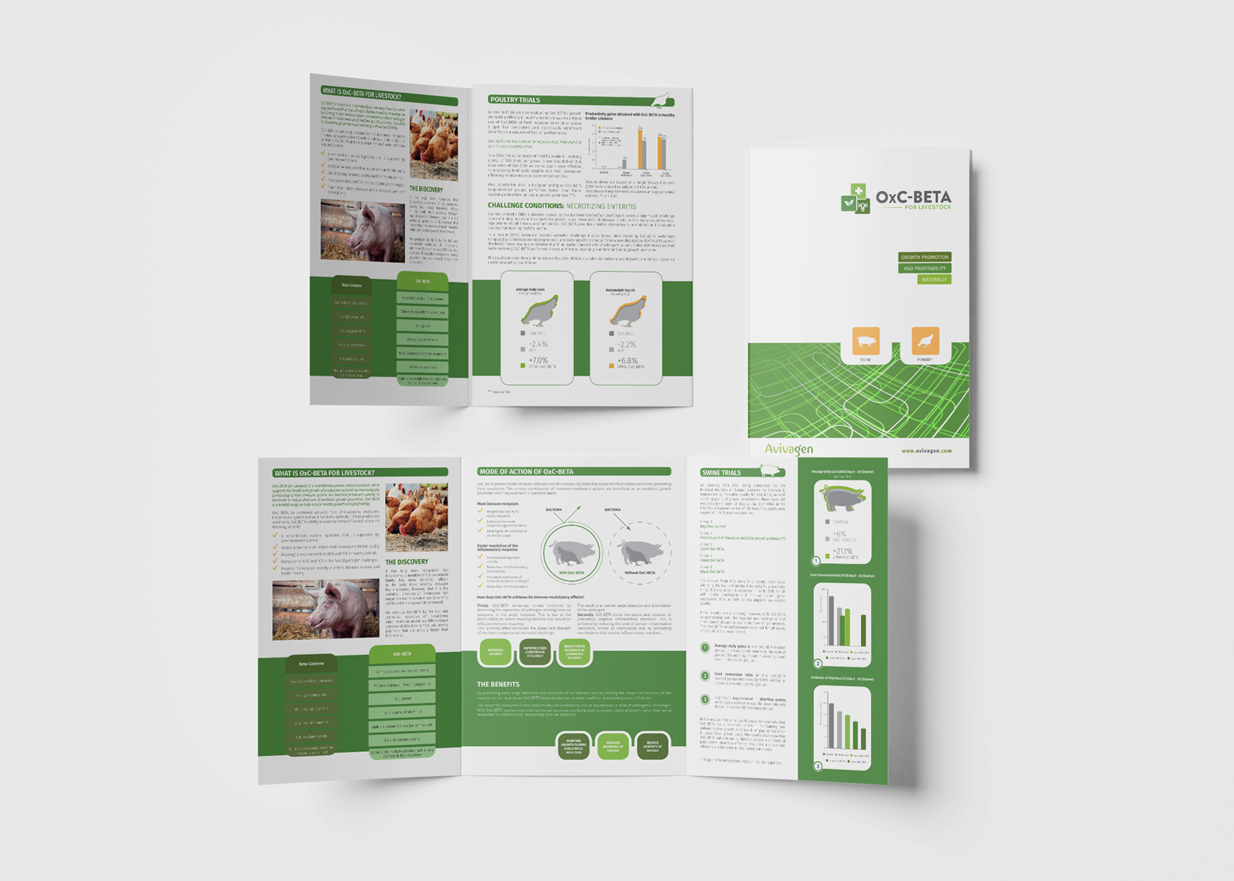 Realizzazioni grafiche del nostro studio | Prupix 87 grafica depliant servizi