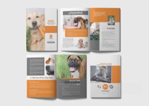 Studio Grafico Online — Loghi, Siti Web e Cataloghi 19 brochure aziendale grafica