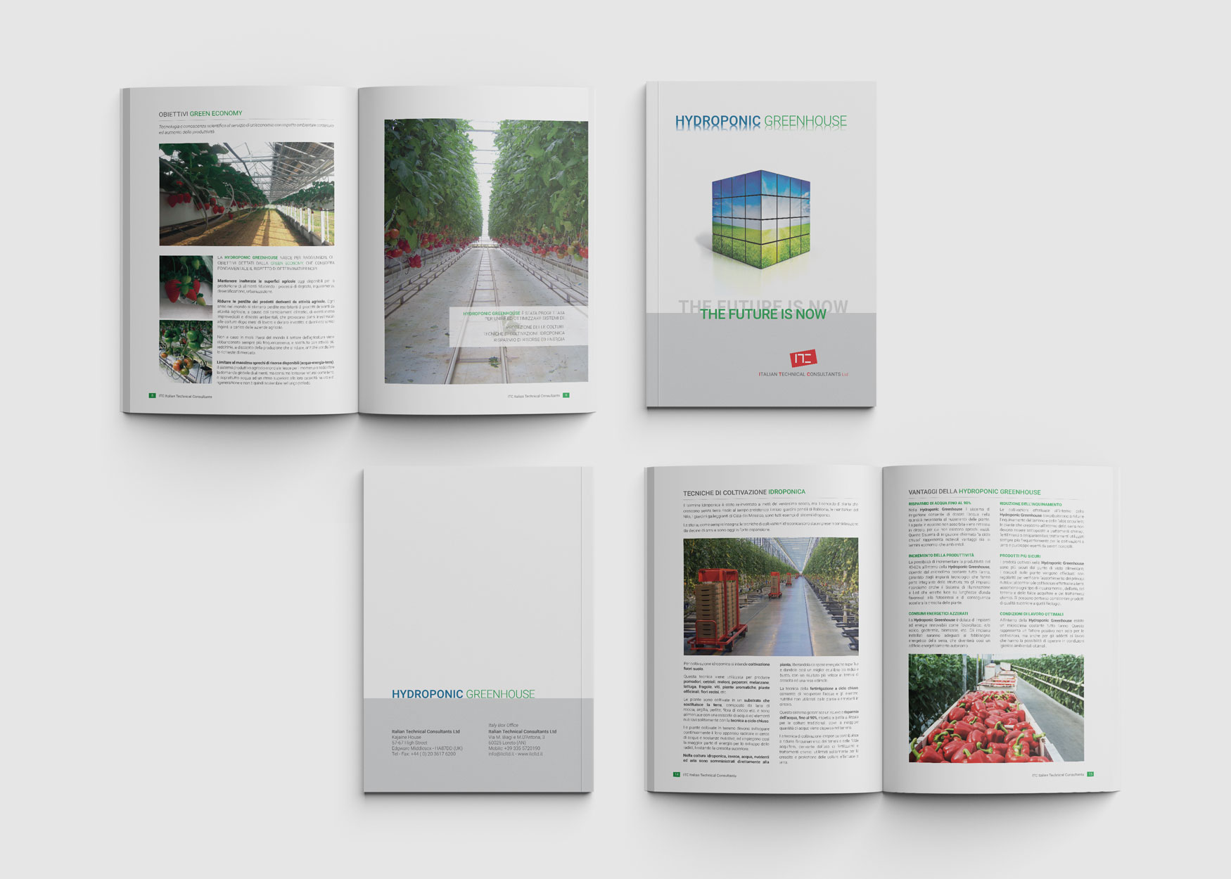 Realizzazione Brochure Aziendale oltre le aspettative 13 grafica brochure