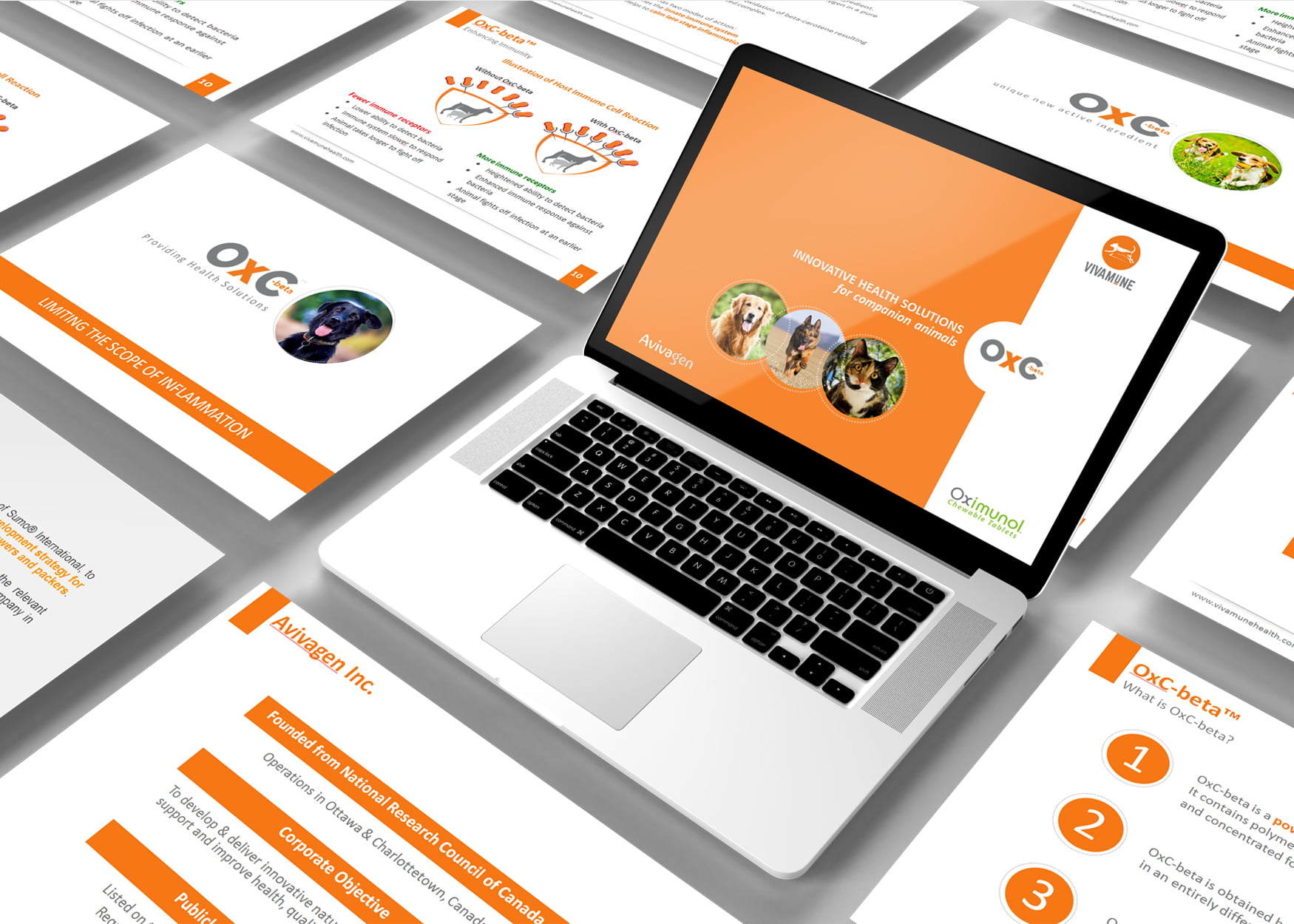 Realizzazioni grafiche del nostro studio | Prupix 32 Realizzazione Presentazione Powerpoint