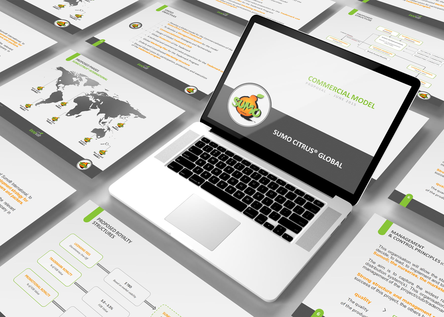 Realizzazioni grafiche del nostro studio | Prupix 33 Realizzazione Presentazione Powerpoint Aziendale